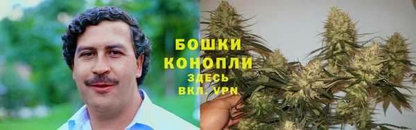 экстази Богданович