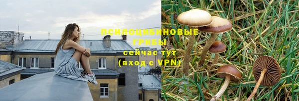 МДМА Богородск